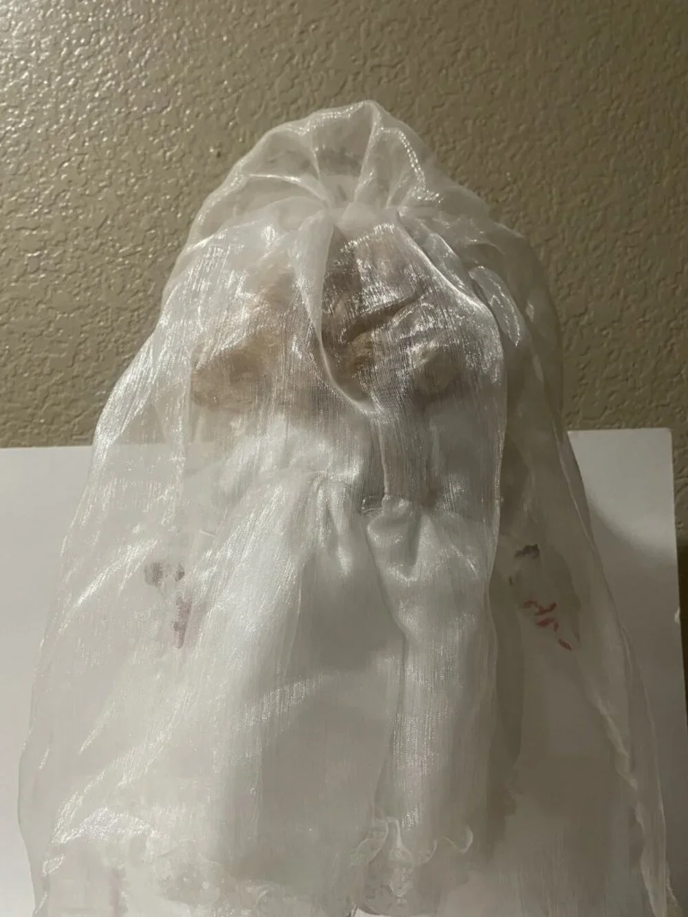 Bride PORCELAIN HORROR DOLL HAUNTED HANDPAINTED SPOOKY GHOSTLY EERIE UNEARTHLY